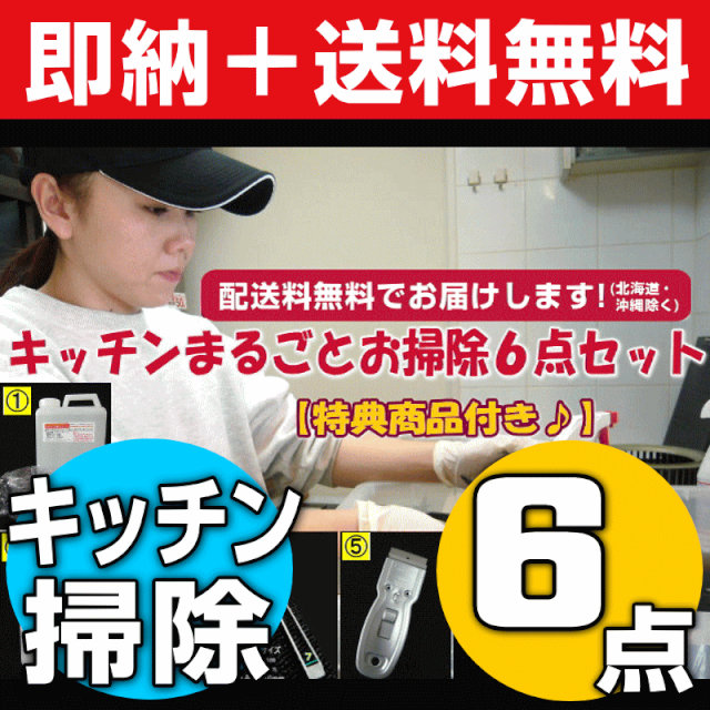 Kis 送料無料 キッチンまるごとお掃除６点セット 特典商品付き お掃除専門店kis公式サイト