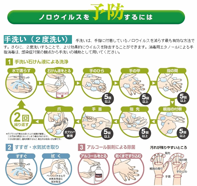 消毒 ノロウイルス