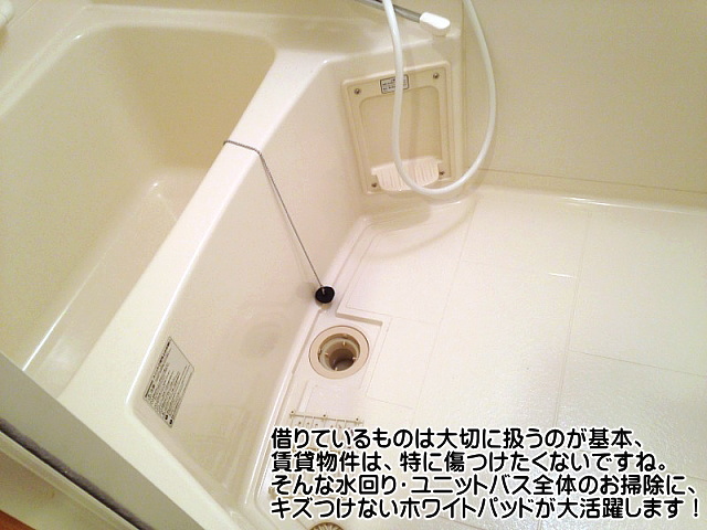 【KIS】プロおすすめの水回りこすり・磨き掃除用ホワイト ...
