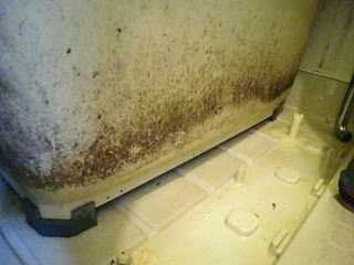お風呂のバスタブエプロン内部についたカビ・ヌメリをメラスポでお掃除