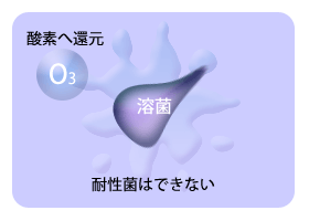 I]ɂEیʁiI]̏ꍇj